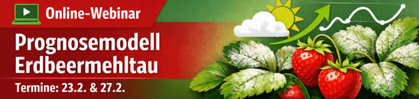 Banner Webinar Prognosemodell Erdbeermehltau